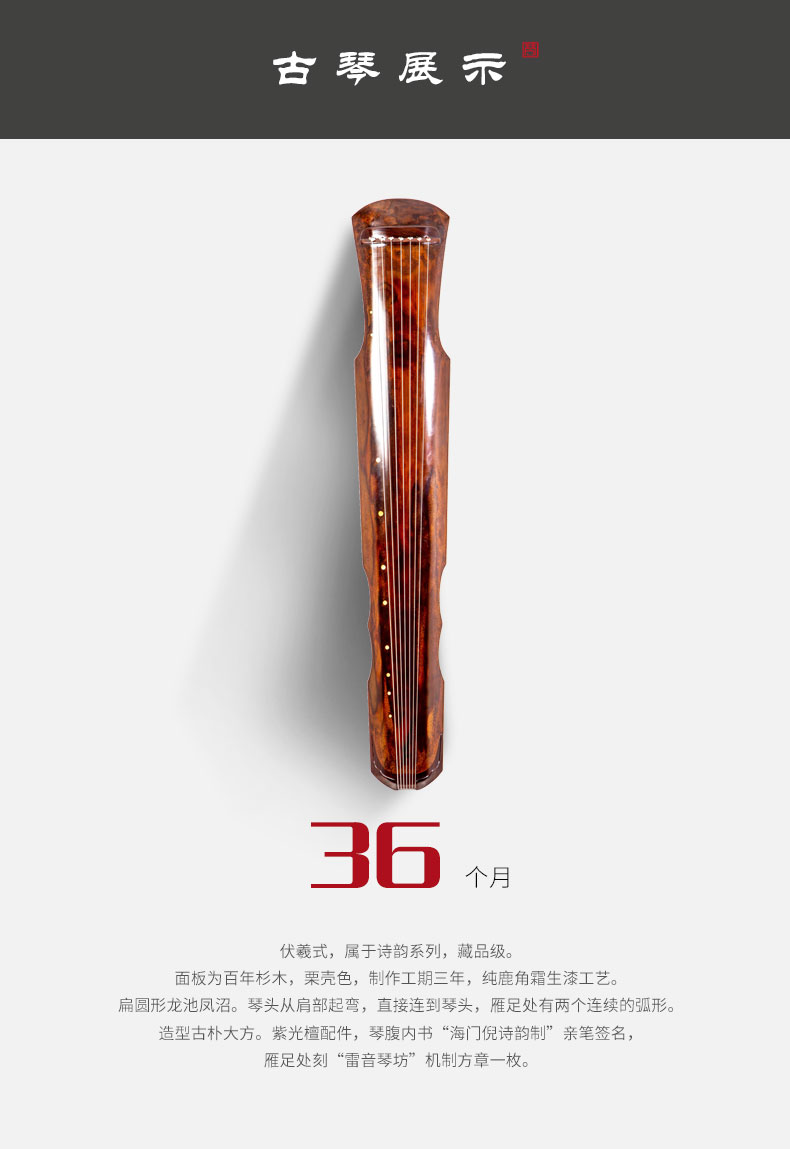 倪诗韵古琴